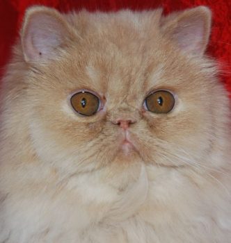 Nos portées (ancien)