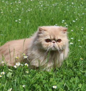 Notre première baleine de l’année !