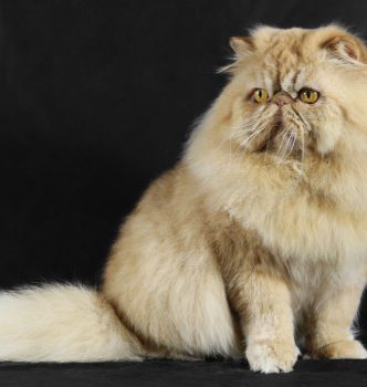 De nouvelles photos !