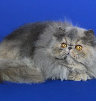 Nouvelles photos !