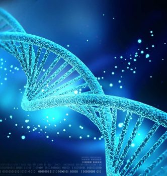 Test PKD et identification ADN